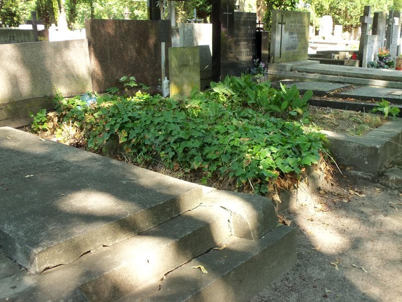 Zdjęcie grobu Włodzimierz Makarewicz (1)