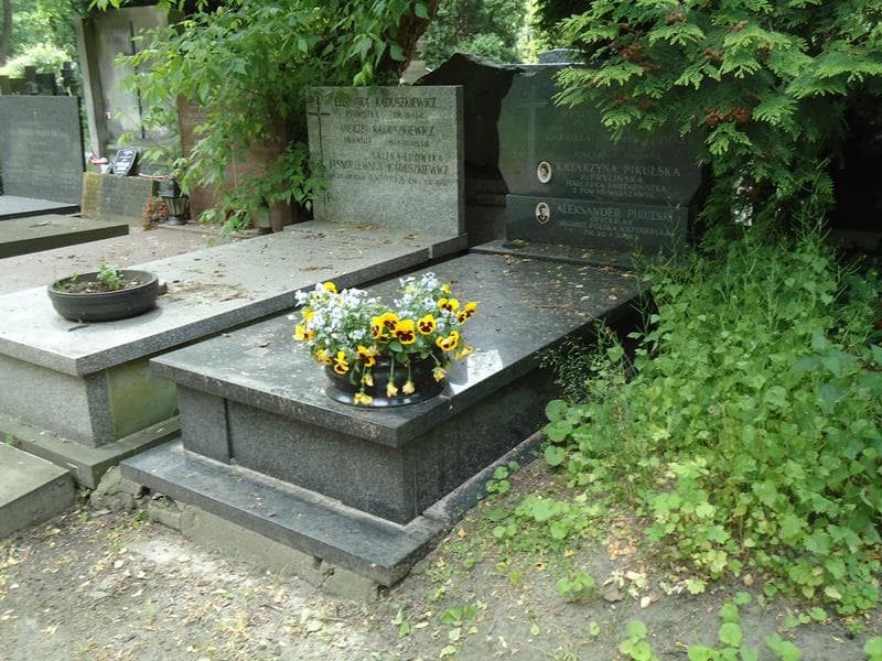 Zdjęcie grobu Aleksander Pikulski (1)