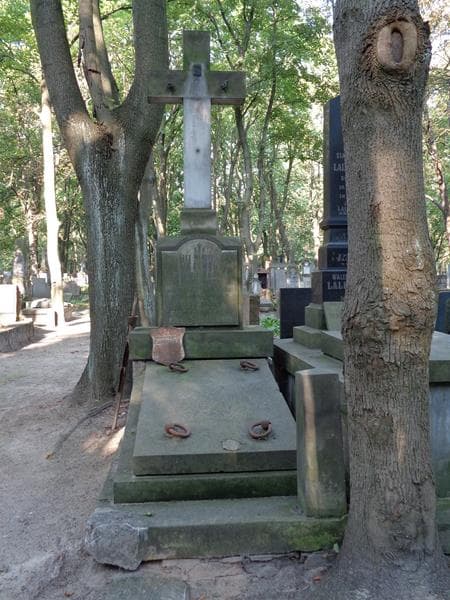 Zdjęcie grobu Józef Władysław Hellwig (1)