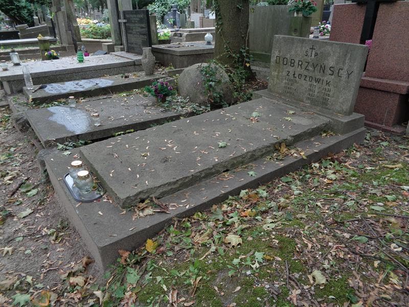 Zdjęcie grobu: Lidia Dobrzyńska