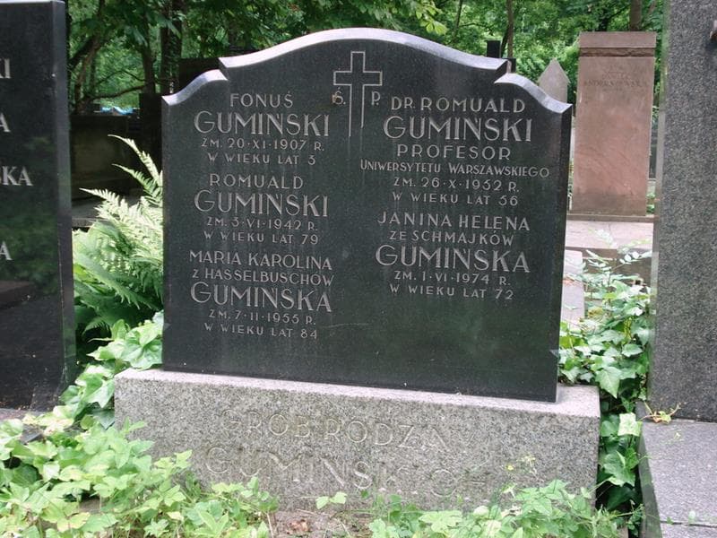 Zdjęcie grobu Fonuś Gumiński (2)