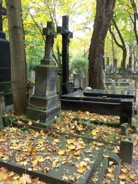Zdjęcie grobu Aleksander Langwaldt (1)