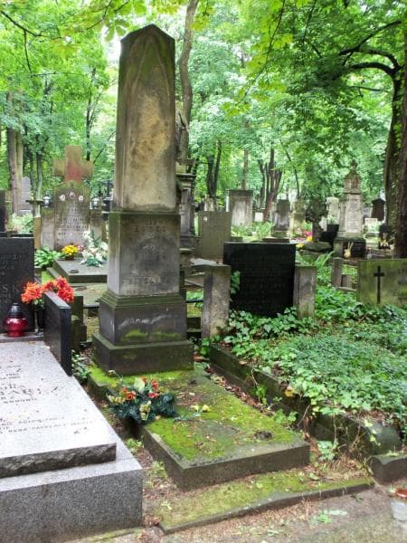 Zdjęcie grobu Wieńczysława Detyniecka (1)