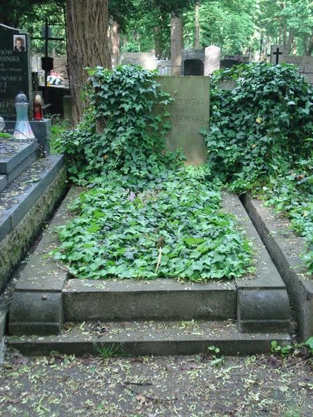 Zdjęcie grobu: Julia Gołaszewska