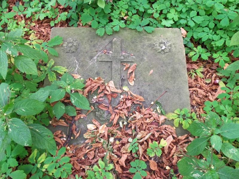 Zdjęcie grobu Emilja Wolska (1)