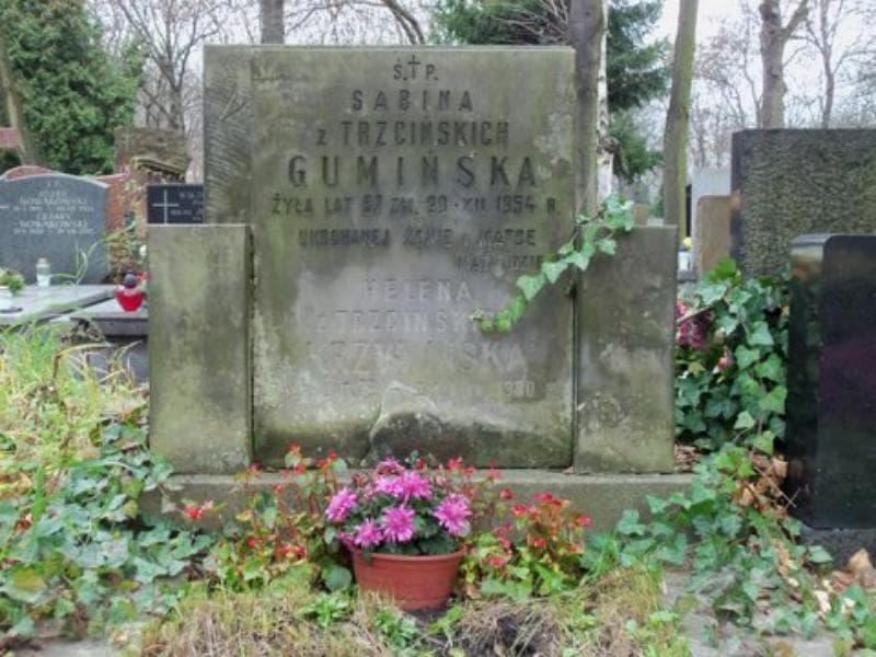 Zdjęcie grobu Helena Krzywińska (2)