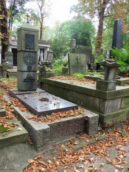 Zdjęcie grobu Mieczysław Lepecki (1)