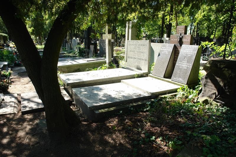 Zdjęcie grobu Halina Aleksandra Słaboszewicz (1)