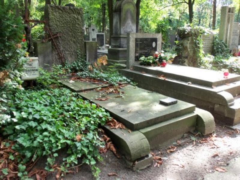 Zdjęcie grobu Stanisław Bucholc (1)