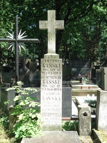 Zdjęcie grobu Mateusz Ostrowicki (1)