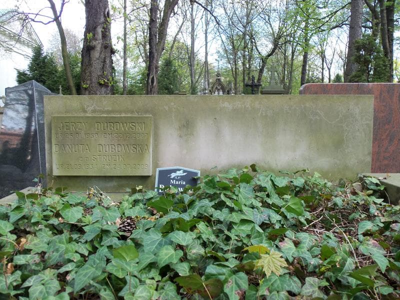 Zdjęcie grobu Wincenty Dubowski (2)