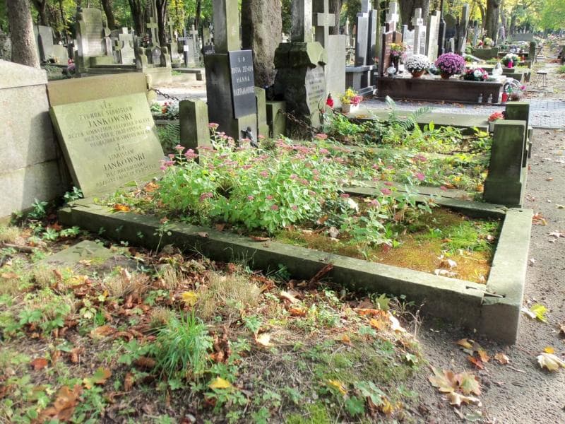 Zdjęcie grobu Stanisław Jankowski (1)