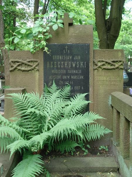 Zdjęcie grobu Jadwiga Lewicka (2)
