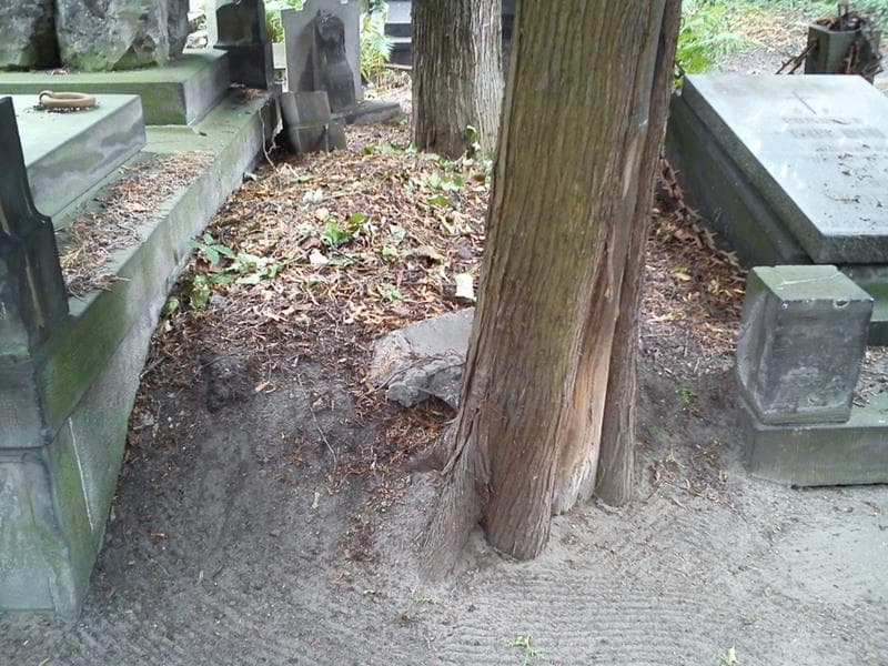 Zdjęcie grobu: Pole Grobowe