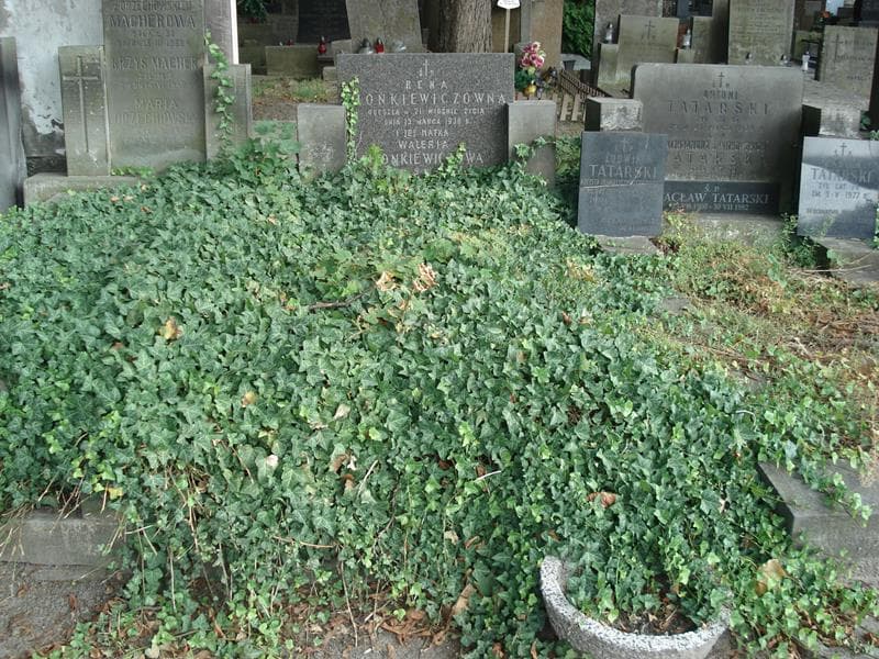 Zdjęcie grobu Waleria Fionkiewiczowa (1)