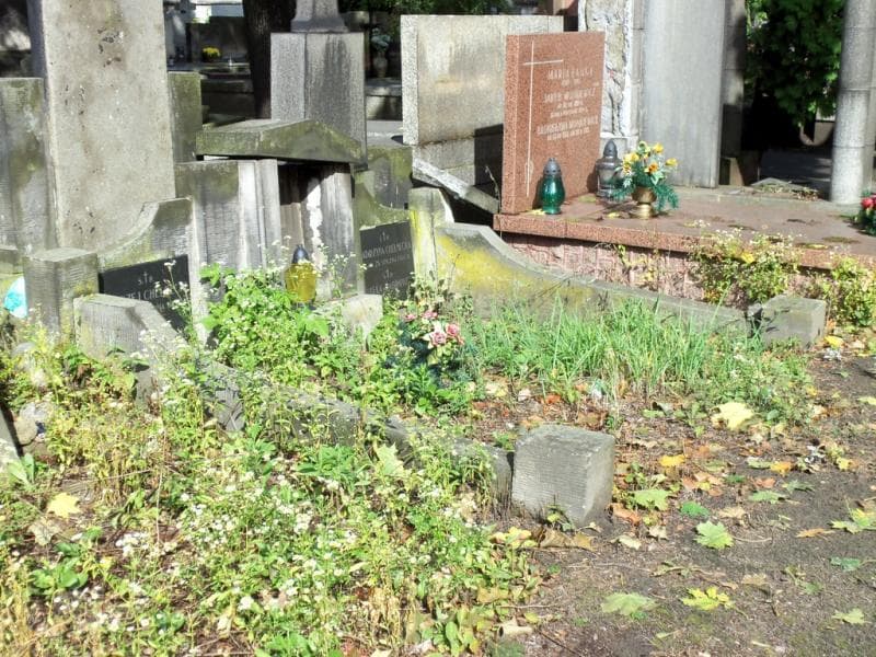 Zdjęcie grobu Stanisław Wasilewski (1)