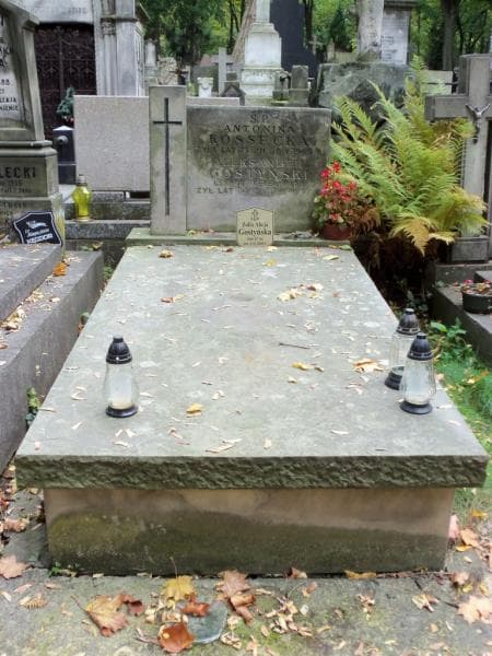 Zdjęcie grobu: Zofia Alicja Gostyńska