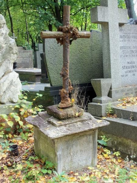 Zdjęcie grobu Elżbieta Dankiewicz (2)