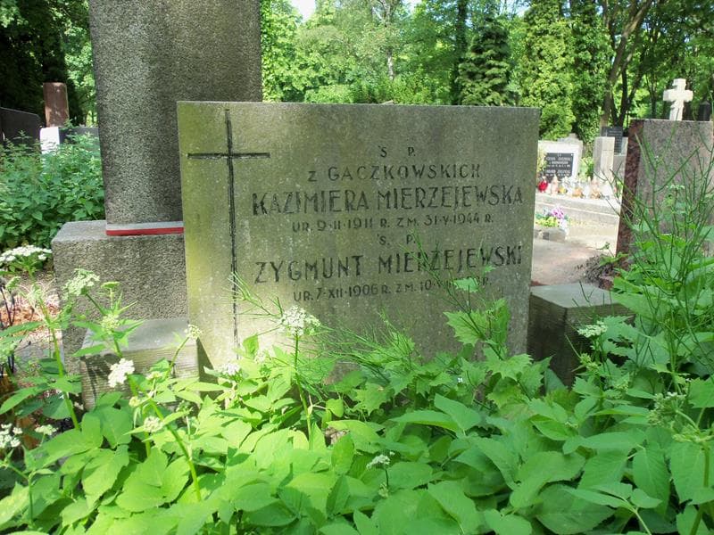 Zdjęcie grobu Zygmunt Mierzejewski (2)
