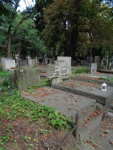 Zdjęcie grobu: Stanisław Matawowski