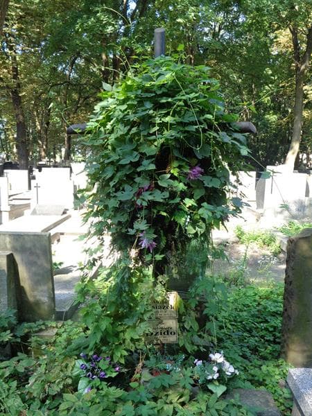 Zdjęcie grobu Alicja Książek (1)