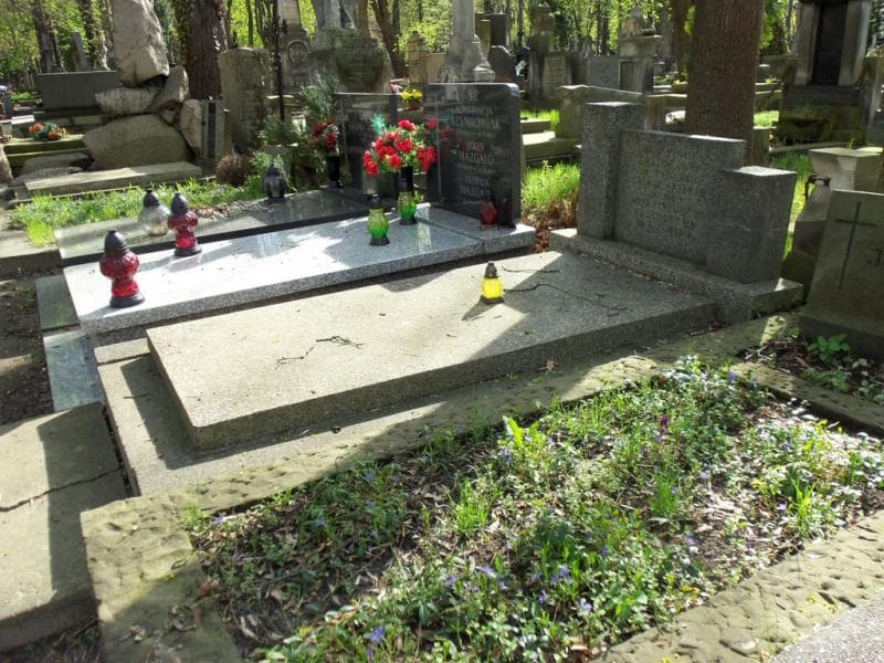 Zdjęcie grobu Emilia Lajznerowa (1)