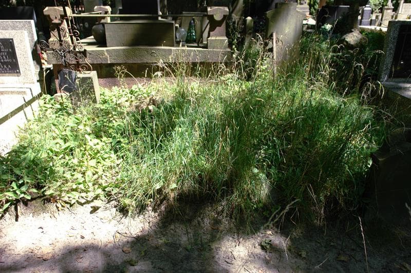 Zdjęcie grobu: Pole Grobowe