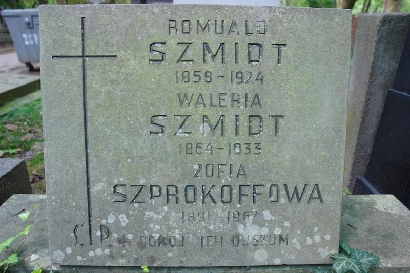 Zdjęcie grobu Romuald Szmidt (2)