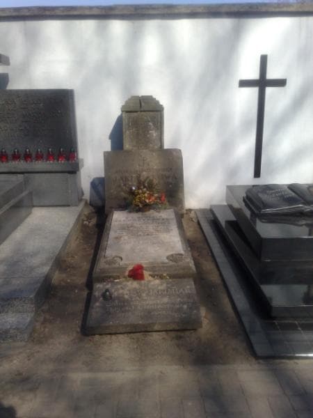 Zdjęcie grobu: Ludwika Teresa Jałbrzykowska