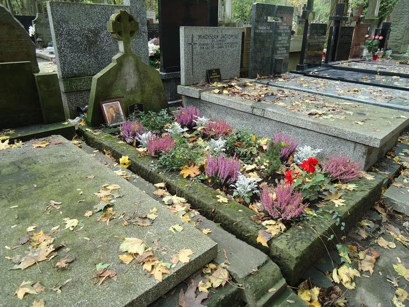 Zdjęcie grobu Zofia Darowska (1)