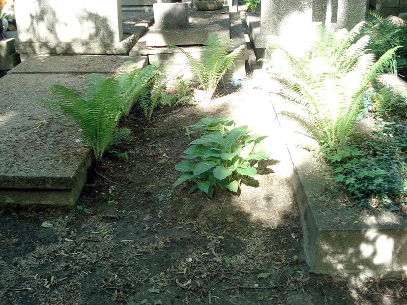 Zdjęcie grobu: Pole Grobowe