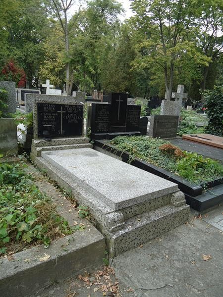 Zdjęcie grobu Stanisława Babik (1)