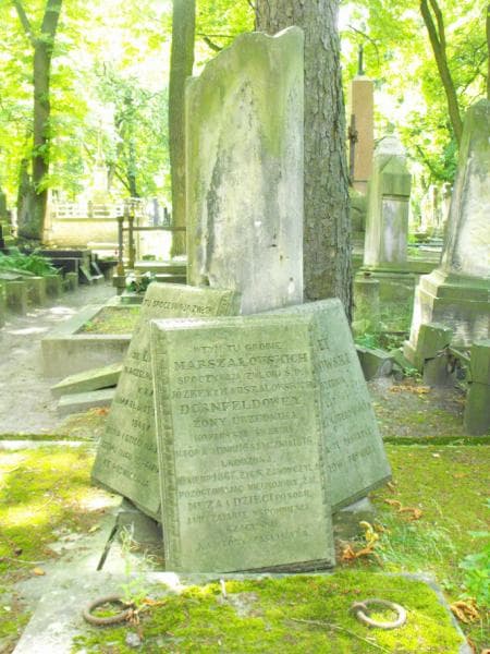 Zdjęcie grobu Jan De Lapierre (2)