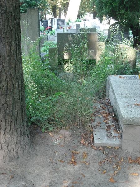 Zdjęcie grobu: Anonim