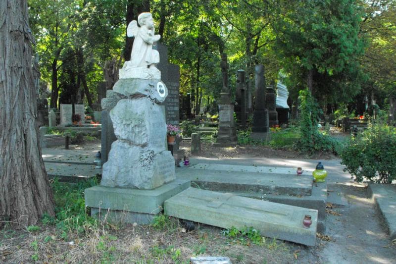Zdjęcie grobu Leokadja Bączkowska (1)
