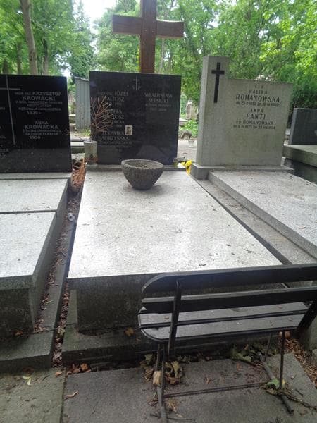 Zdjęcie grobu Józef Waltosz (1)