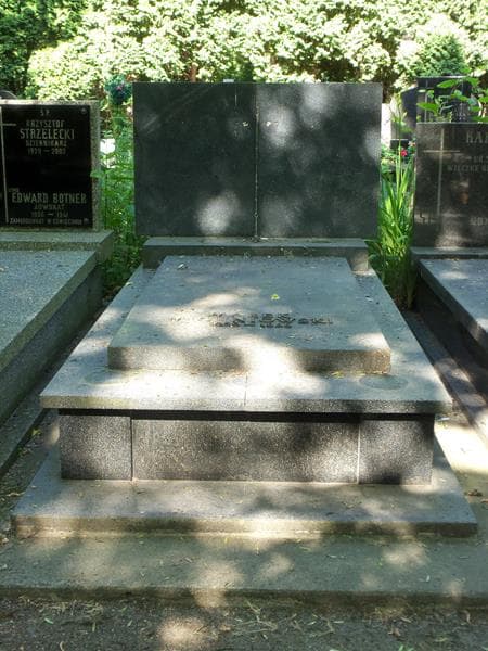 Zdjęcie grobu: Marek Michniowski