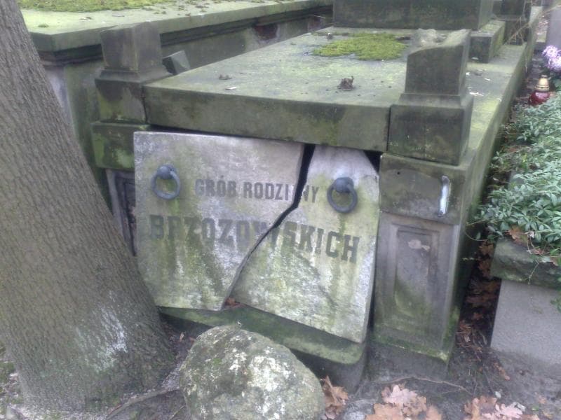 Zdjęcie grobu Włodzimierz Brzozowski (2)