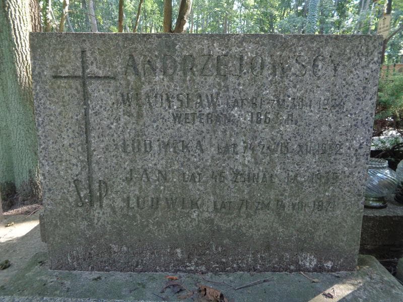 Zdjęcie grobu Ludwik Andrzejowski (2)