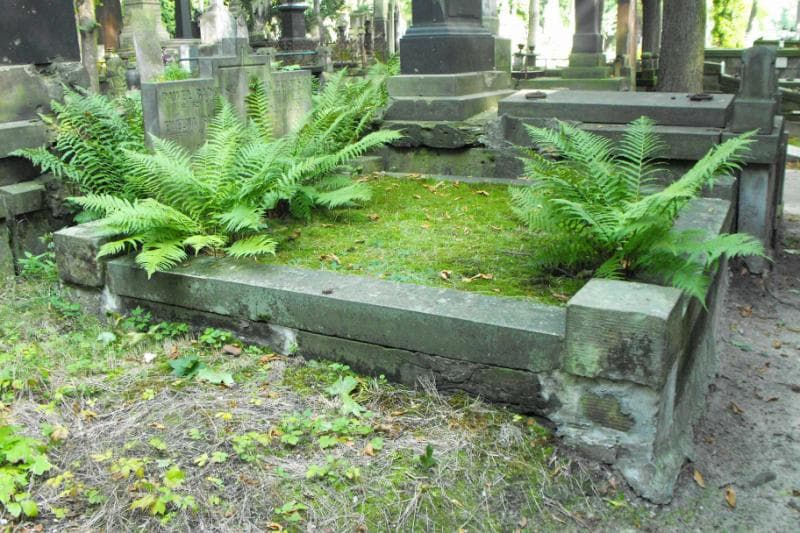 Zdjęcie grobu: Józefa Badowska