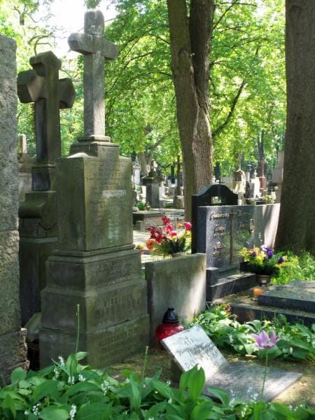 Zdjęcie grobu Jan Kobyliński (1)