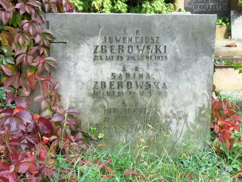 Zdjęcie grobu Maria Magdalena Lewandowska (2)