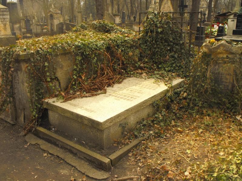 Zdjęcie grobu: Teofila Heinrich