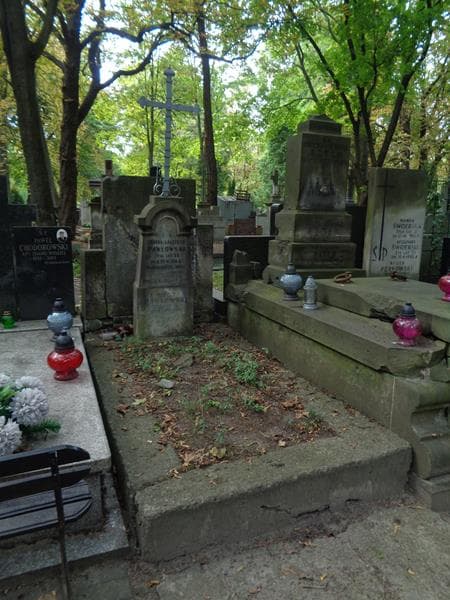 Zdjęcie grobu: Witold Pawłowski
