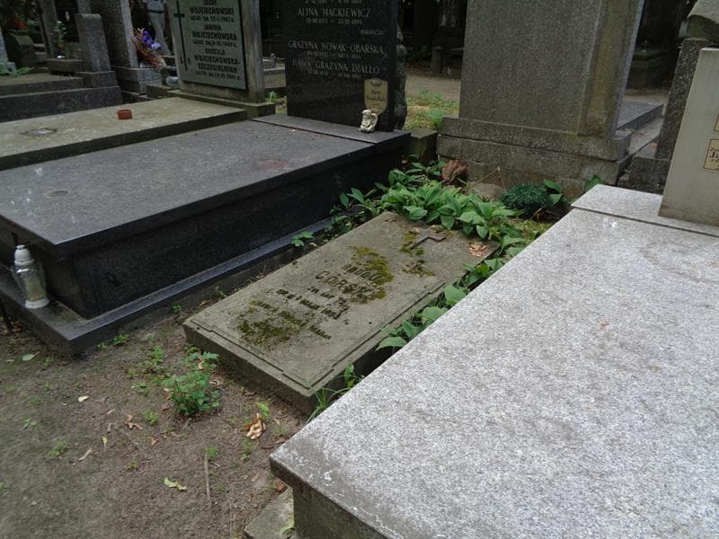 Zdjęcie grobu: Rudolf Górski
