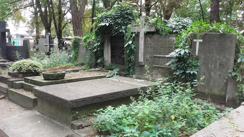 Zdjęcie grobu: Aniela Chrościcka