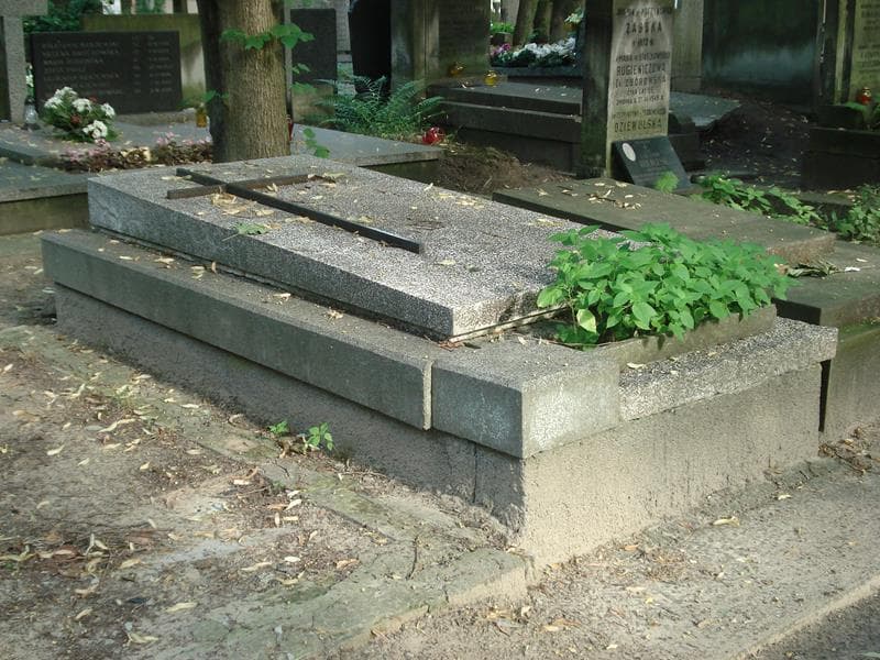 Zdjęcie grobu Henryka Tkacz (2)