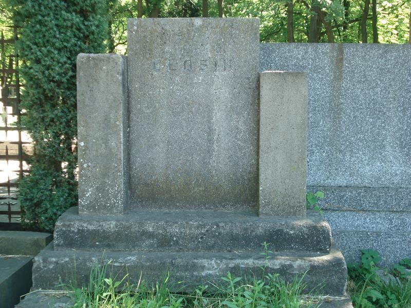 Zdjęcie grobu Michał Głosik (1)
