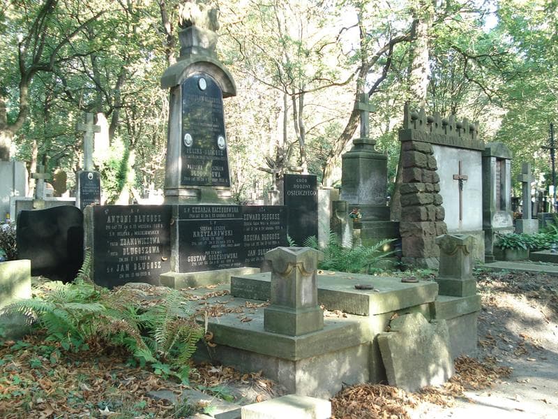 Zdjęcie grobu Feliks Długosz (1)