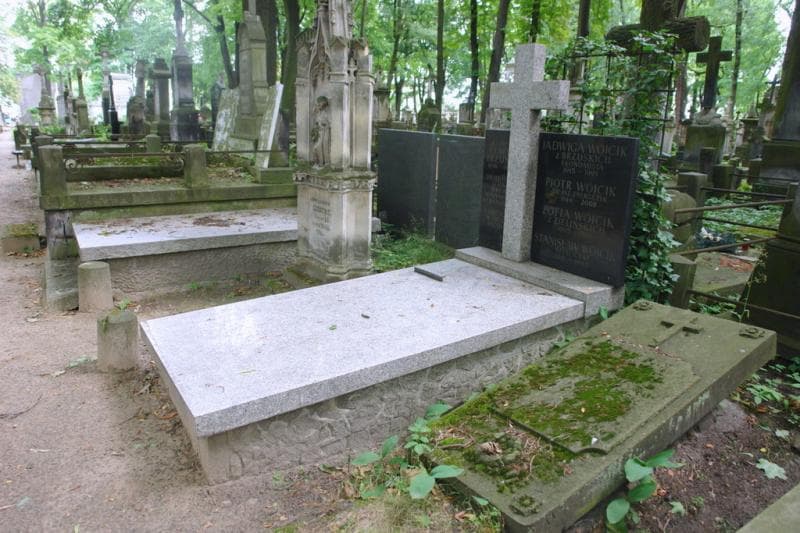 Zdjęcie grobu: Henryk Brzuski